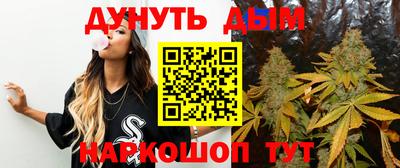 дмт Будённовск