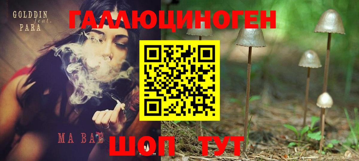 продажа наркотиков  Вход с VPN  Находка  Псилоцибиновые грибы Cubensis 